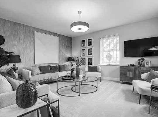LOCAL AREA INSPIRES SHOW HOME INTERIORS IN SAMPFORD PEVERELL